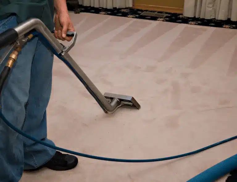 How much does carpet cleaning cost