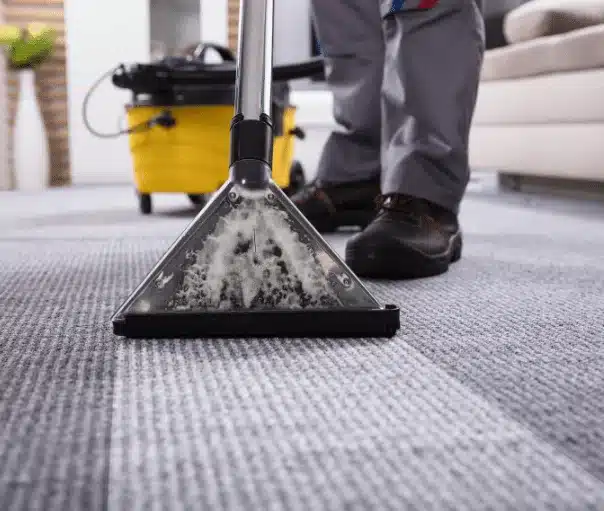 Cleaning the carpet with Carpet Cleaning Squad Detroit, MI