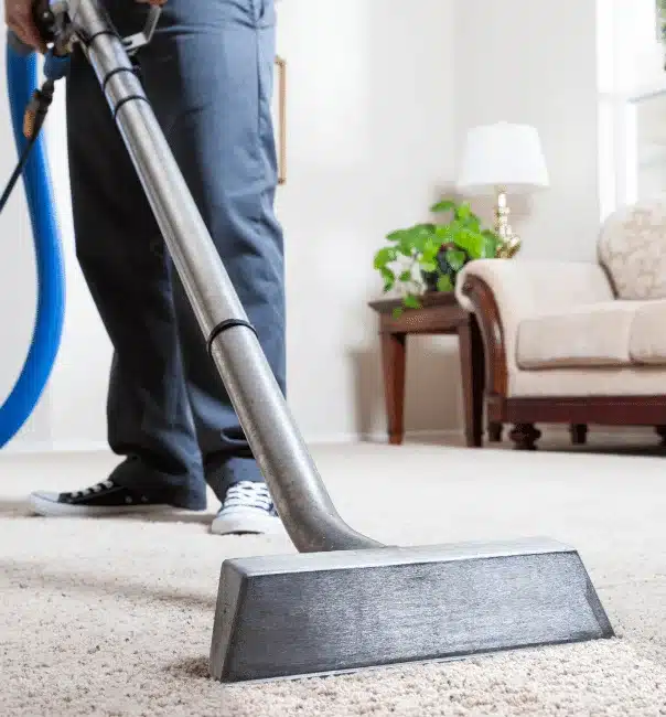 Cleaning the Carpet with the Crew of Carpet Cleaning Squad